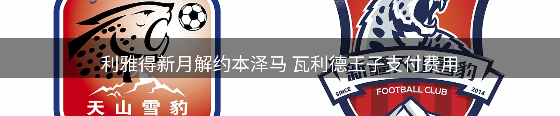 平台视角