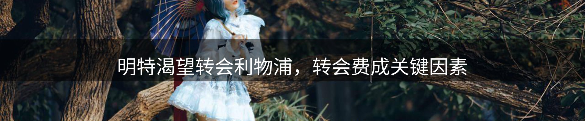 平台视角