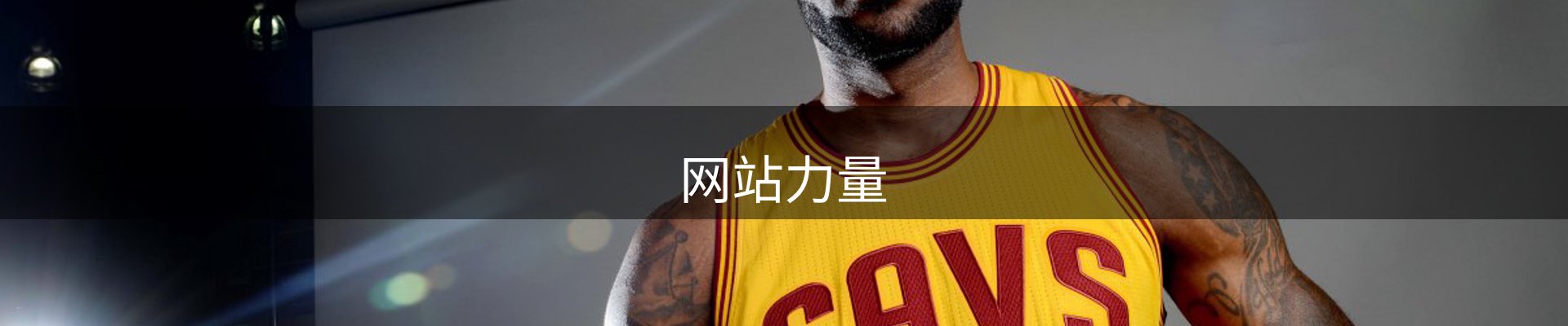 网站力量