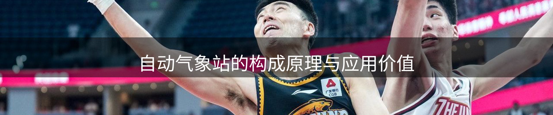 平台视角